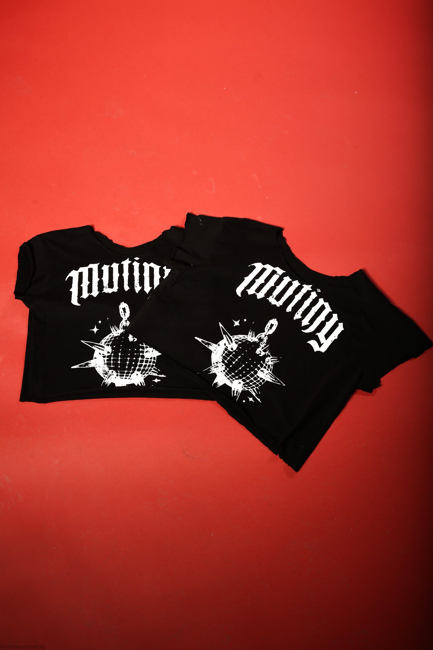 Mutiny Spiked Disco Ball - Distressed Crop Tee in Black